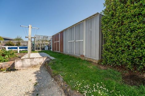 Photo of property in 17 Beach Street, Waikouaiti, 9510