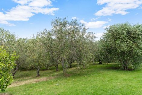 Photo of property in 91 Whaka Street, Maungaturoto, 0520