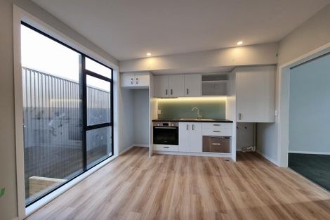 Photo of property in 48a Dudley Street, Hutt Central, Lower Hutt, 5010