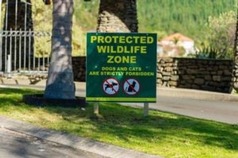 Photo of property in 62 Pinehurst Drive, Pauanui, Hikuai, 3579