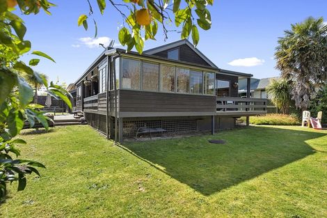 Photo of property in 22 Mcmeekan Avenue, Chartwell, Hamilton, 3210