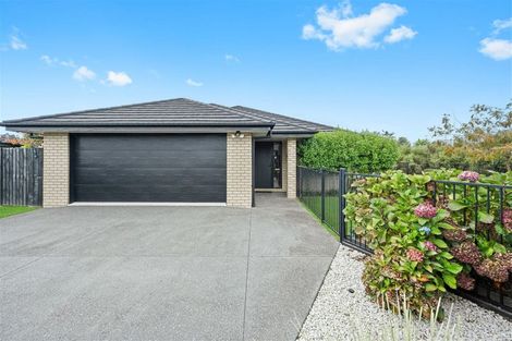 Photo of property in 6 Moiras Lane, Fitzroy, Hamilton, 3206