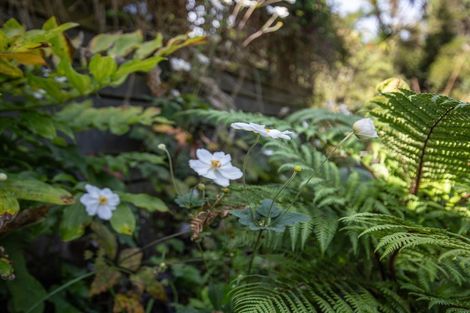 Photo of property in 88 Clifton Road, Kaiata, Greymouth, 7805