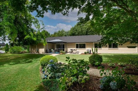 Photo of property in 29 Sheffield Street, Matamata, 3400