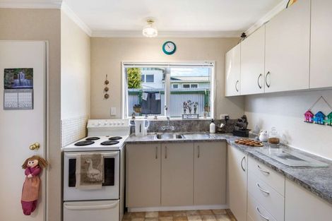 Photo of property in 60e Winchester Street, Levin, 5510