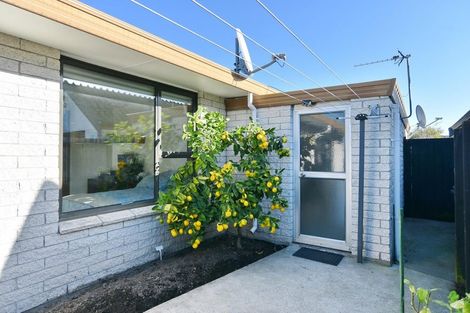 Photo of property in 1/31 Pavitt Street, Richmond, Christchurch, 8013