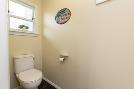 Photo of property in 19 Monmouth Street, Feilding, 4702