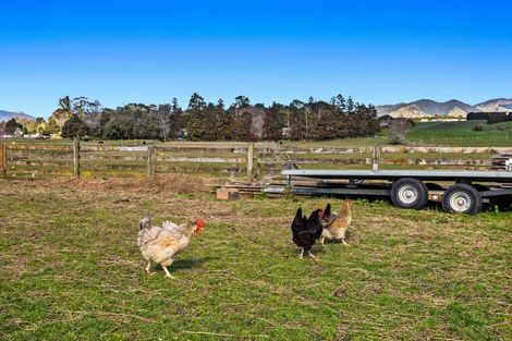 Photo of property in 27 Baird Road, Waiotahe, Opotiki, 3198