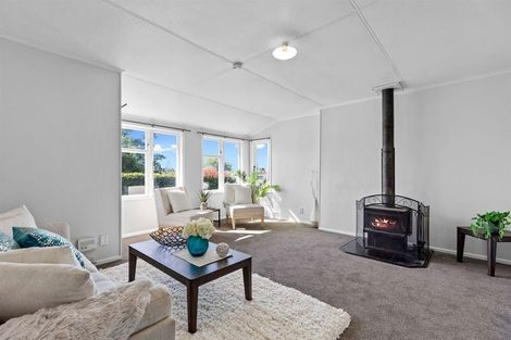 Photo of property in 461 Fraser Street, Parkvale, Tauranga, 3112