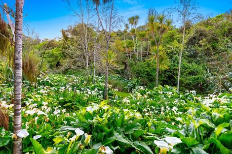 Photo of property in 204 Verbena Road, Birkdale, Auckland, 0626