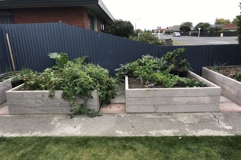 Photo of property in 1/65 William Street, Ashburton, 7700