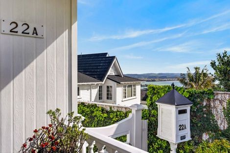 Photo of property in 22a Coleman Terrace, Hospital Hill, Napier, 4110