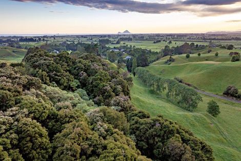 Photo of property in 70b Withy Road, Manawahe, Whakatane, 3193