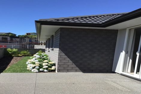 Photo of property in 65 Bert Wall Drive, Omokoroa, 3114