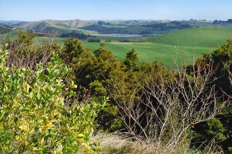 Photo of property in 542e Oneriri Road, Kaiwaka, 0573