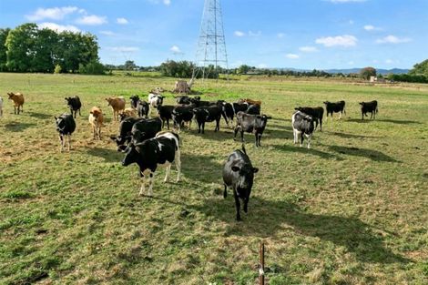 Photo of property in 372 Roto O Rangi Road, Rotoorangi, Cambridge, 3495