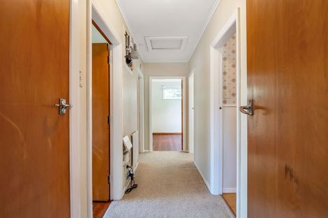 Photo of property in 20 Collingwood Street, Hokowhitu, Palmerston North, 4410