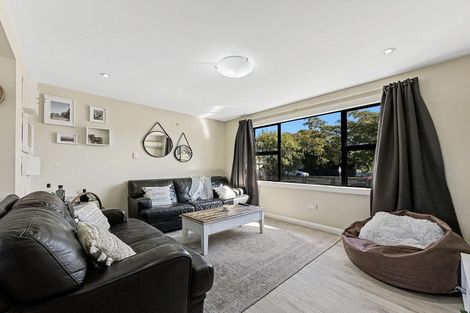 Photo of property in 20 Lane Street, Islington, Blenheim, 7201