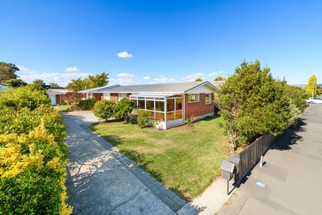 Photo of property in 51 Fitzroy Street, Terrace End, Palmerston North, 4410