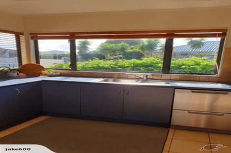 Photo of property in 16 Harris Place, Ngatea, 3503