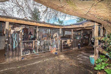 Photo of property in 66a Bignell Street, Gonville, Whanganui, 4501