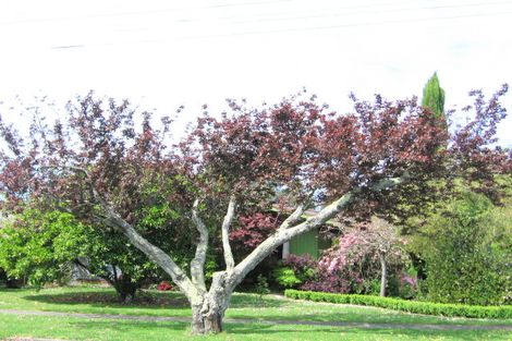 Photo of property in 9 Buchanan Street, Mangapapa, Gisborne, 4010