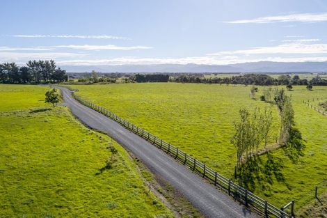 Photo of property in 50 Phelps Way, Morison Bush, 5794