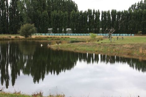 Photo of property in 96 Mcintosh Road, Blackmans, Alexandra, 9391