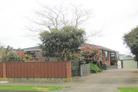 Photo of property in 23 Salisbury Street, Levin, 5510