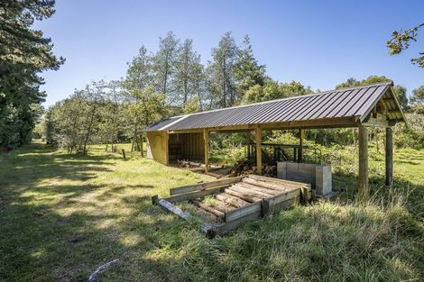 Photo of property in 29 Arcus Road, Te Horo, Otaki, 5582