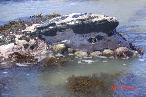 Photo of property in 1 Nunu Drive, Flat Point, Masterton, 5883