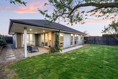 Photo of property in 34 Greenwich Street, Halswell, Christchurch, 8025