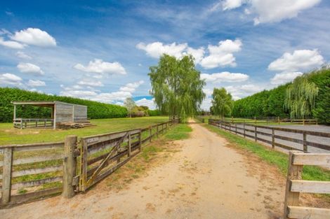 Photo of property in 179 Hautapu Road, Pukemoremore, Cambridge, 3493