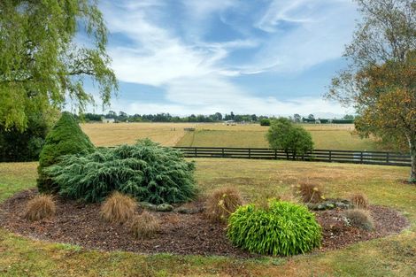 Photo of property in 64 Rosebrook Road, Claremont, Timaru, 7974