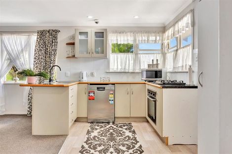 Photo of property in 4 Magee Place, Chartwell, Hamilton, 3210