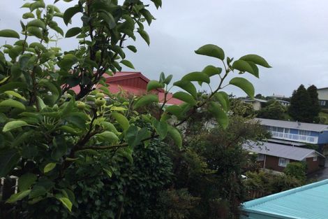 Photo of property in 104 Hays Place, Thames, 3500