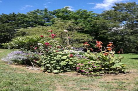 Photo of property in 81a Mcmillan Road, Tahawai, Katikati, 3170