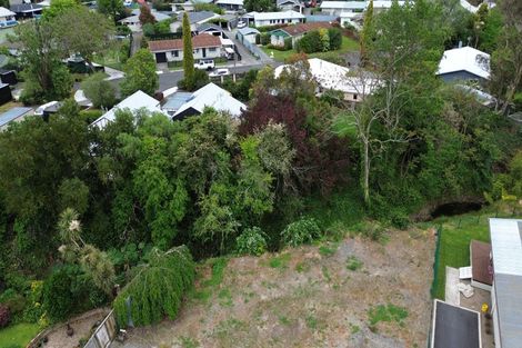 Photo of property in 19 Lucknow Road, Havelock North, 4130