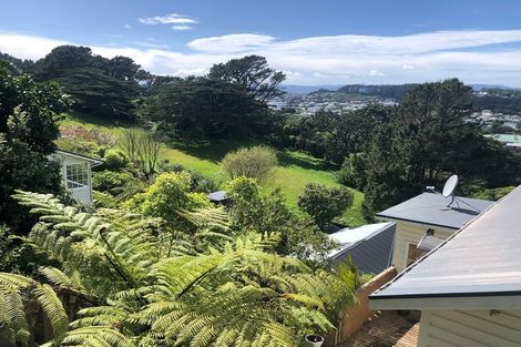 Photo of property in 19 Priscilla Crescent, Mornington, Wellington, 6021