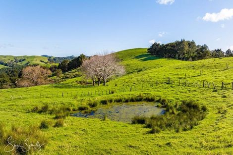 Photo of property in 133 Wearmouth Road, Paparoa, 0571