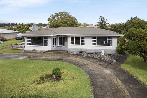 Photo of property in 25 Totara Street, Putaruru, 3411