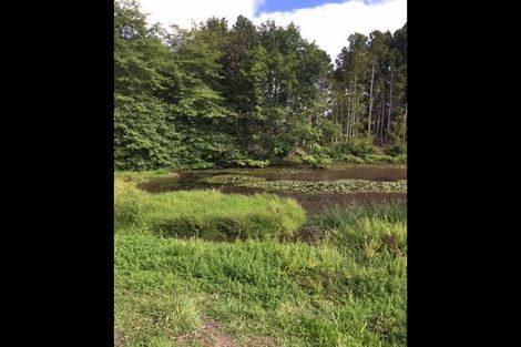 Photo of property in 19a Jon Roe Drive, Whatawhata, Hamilton, 3285