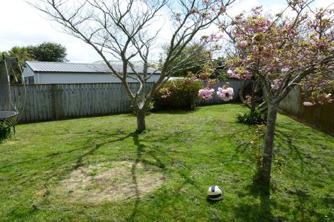 Photo of property in 21 Peppertree Glade, Kelvin Grove, Palmerston North, 4414