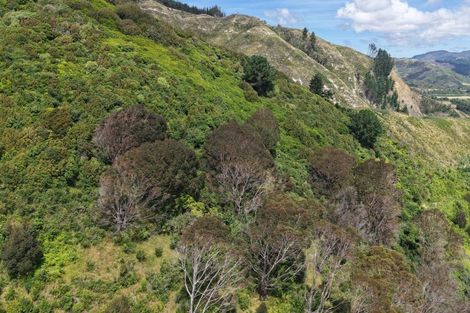 Photo of property in 108 Kakariki Grove, Waikanae, 5036