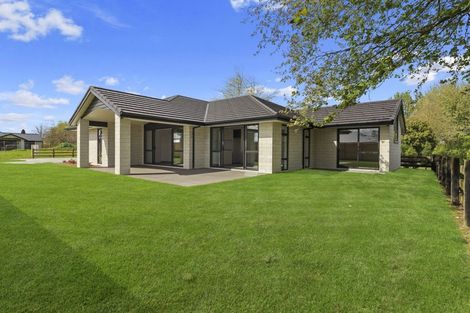 Photo of property in 15 Hinerangi Crescent, Matamata, 3400