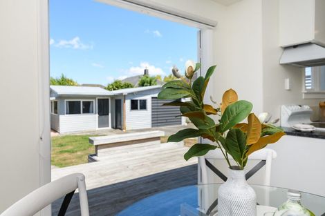 Photo of property in 112 Limbrick Street, Terrace End, Palmerston North, 4410