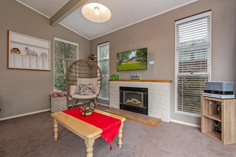 Photo of property in 158 Stanford Street North, Ashhurst, 4810