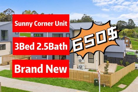 Photo of property in 38 Nanjing Road, Pukekohe, 2120