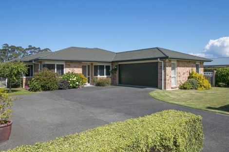 Photo of property in 43 Wills Road, Katikati, 3129