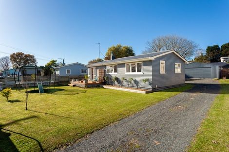 Photo of property in 29 Bear Street, Tirau, 3410